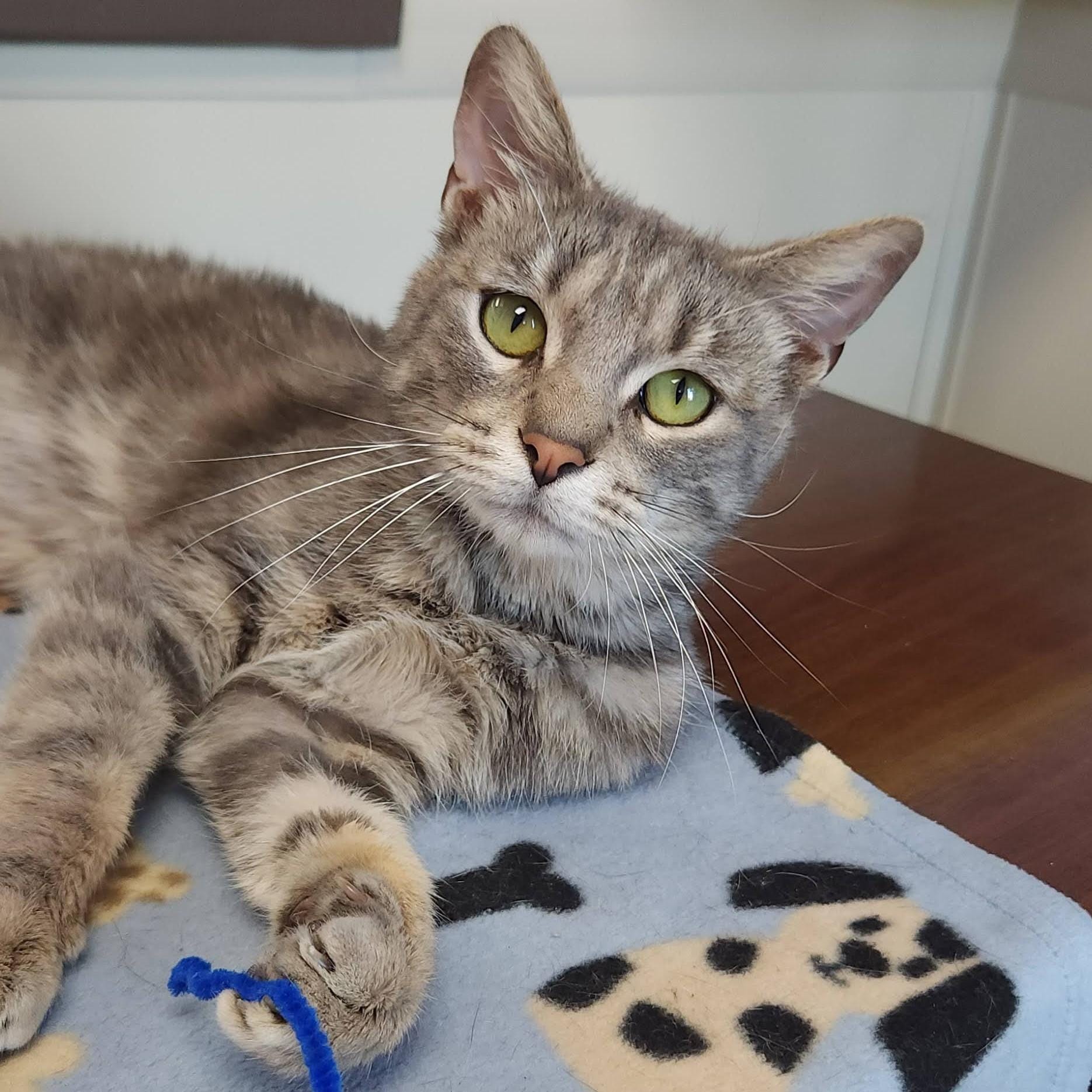 Keeper