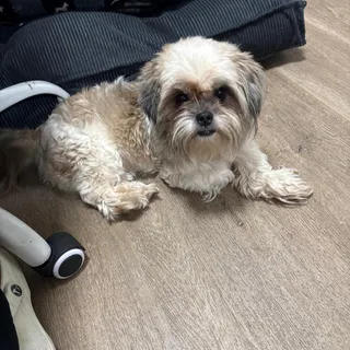 Darla