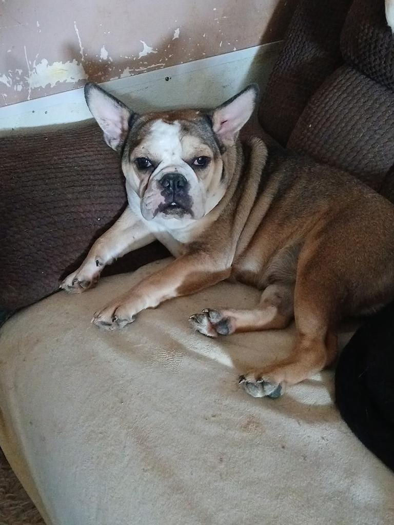 Molly