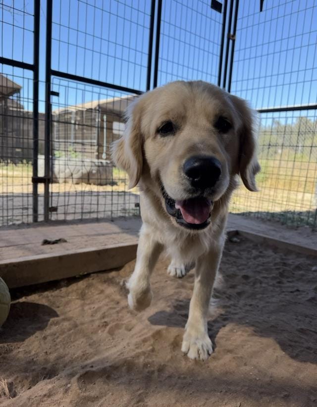 OWEN