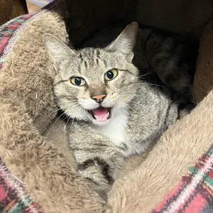 Einstein