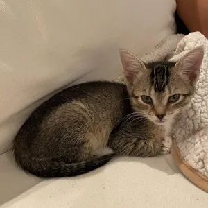 Charlie