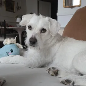 Pablo