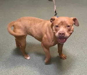 Precious