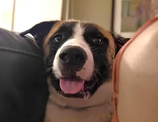 odin