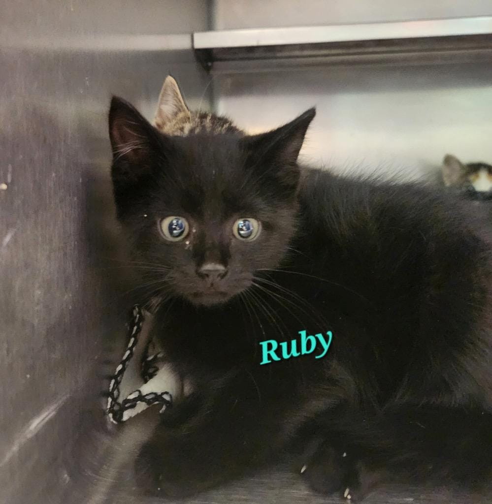 Ruby