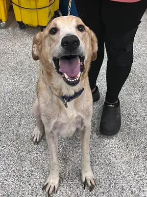 Max
