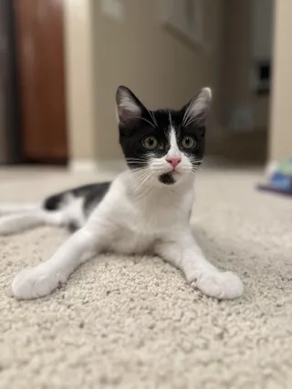 Seymour