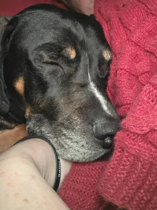 Oliver