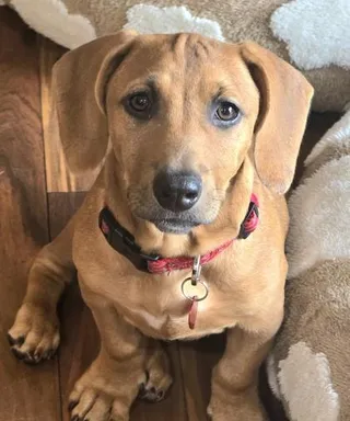Charlie LA
