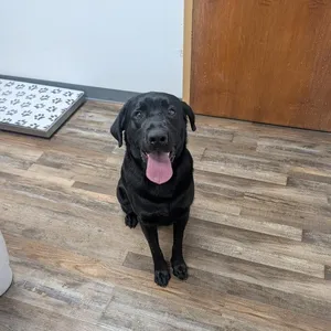 Ernie