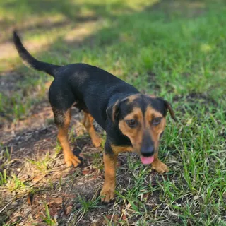 Ellie