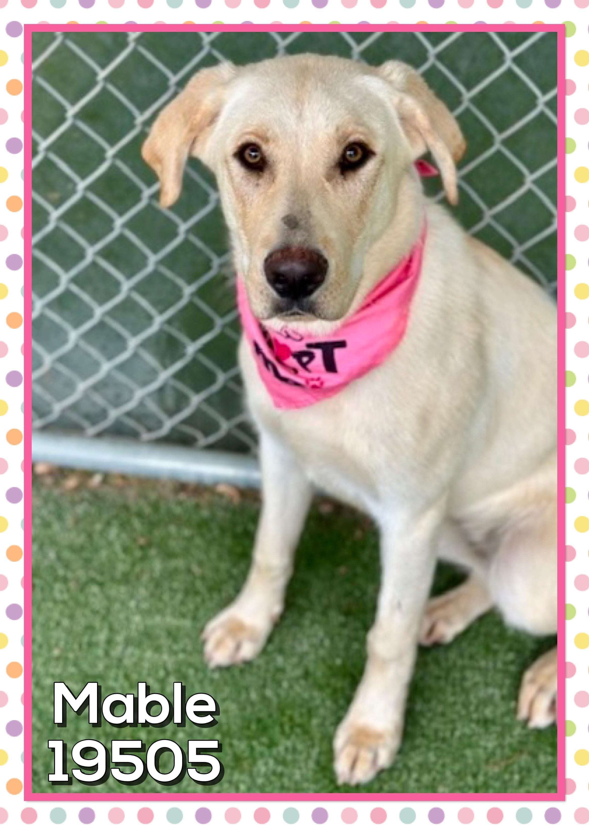 MABLE (also see SHILOH)