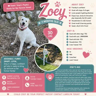 Zoey