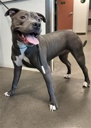 LUNA