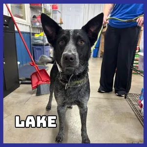 Lake