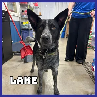 Lake
