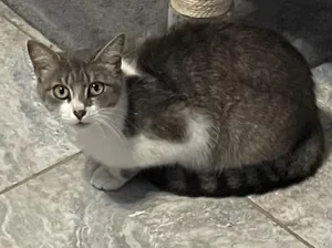 Tinker