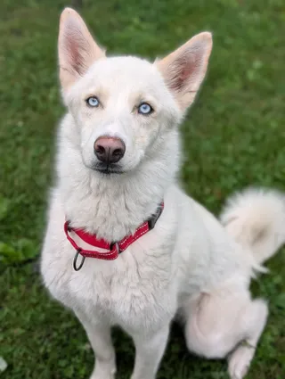 Skye