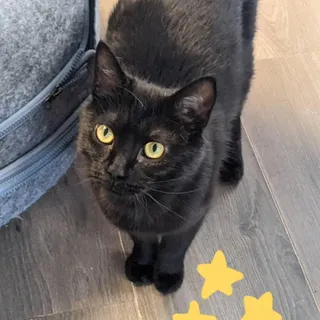 Salem