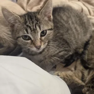 Mina and Mona