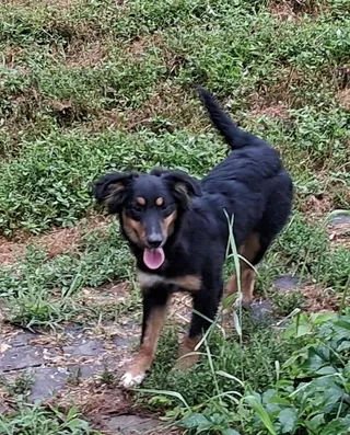 Lucy
