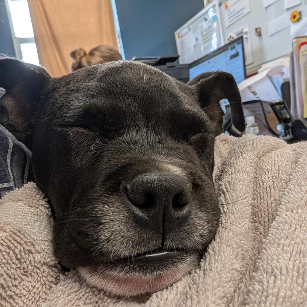 Walter