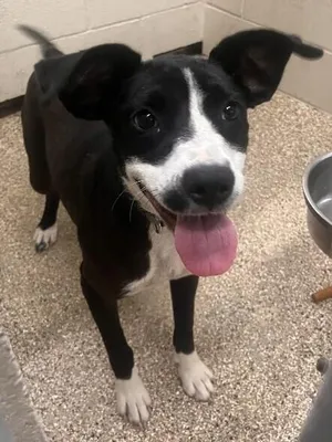 Kehlani