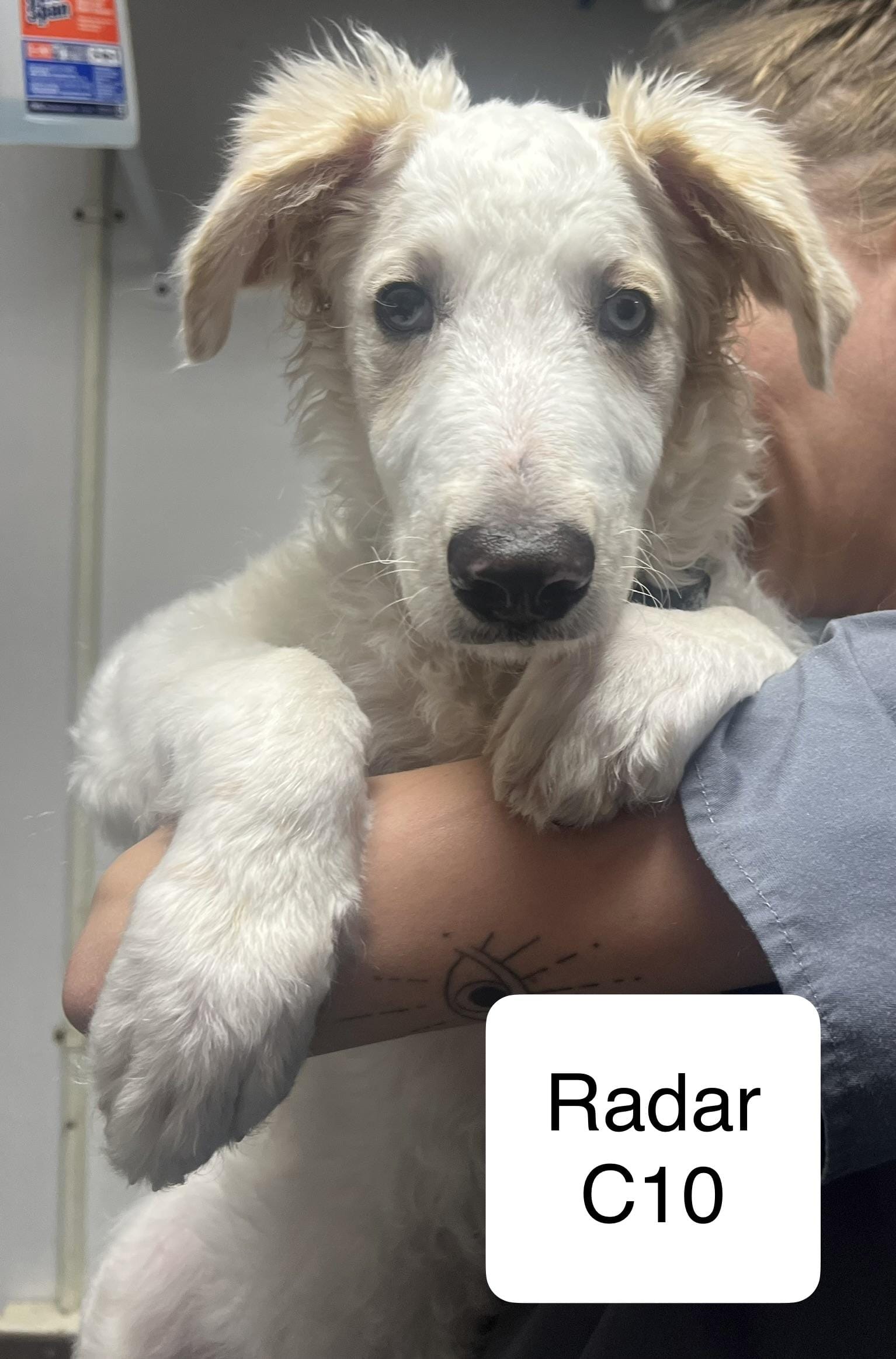 Radar