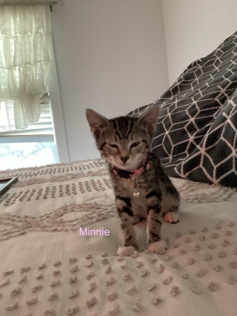 Minnie