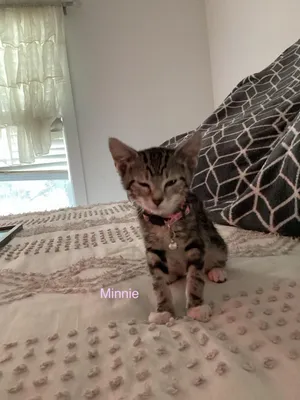 Minnie