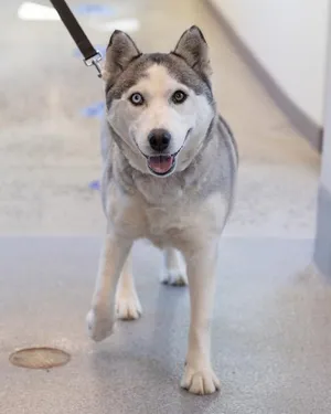 LUNA