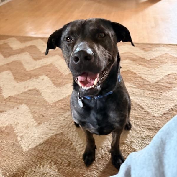 Axel