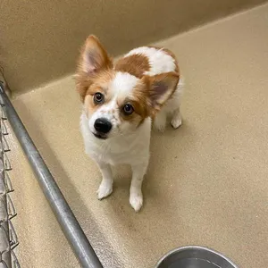 Max