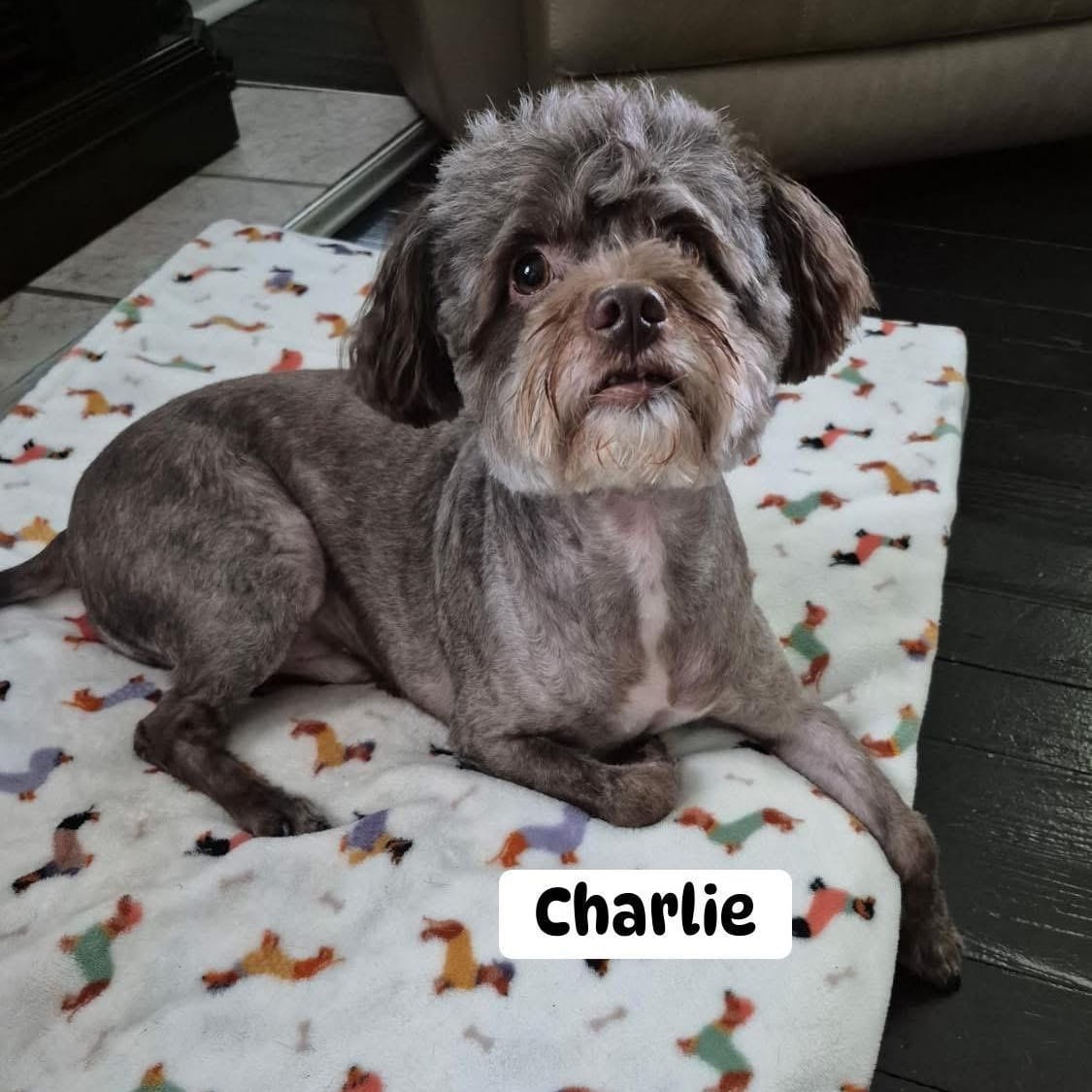 Charlie
