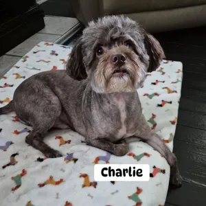 Charlie