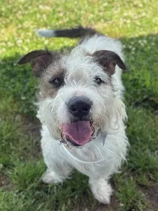 Rigby
