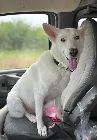 Gloria