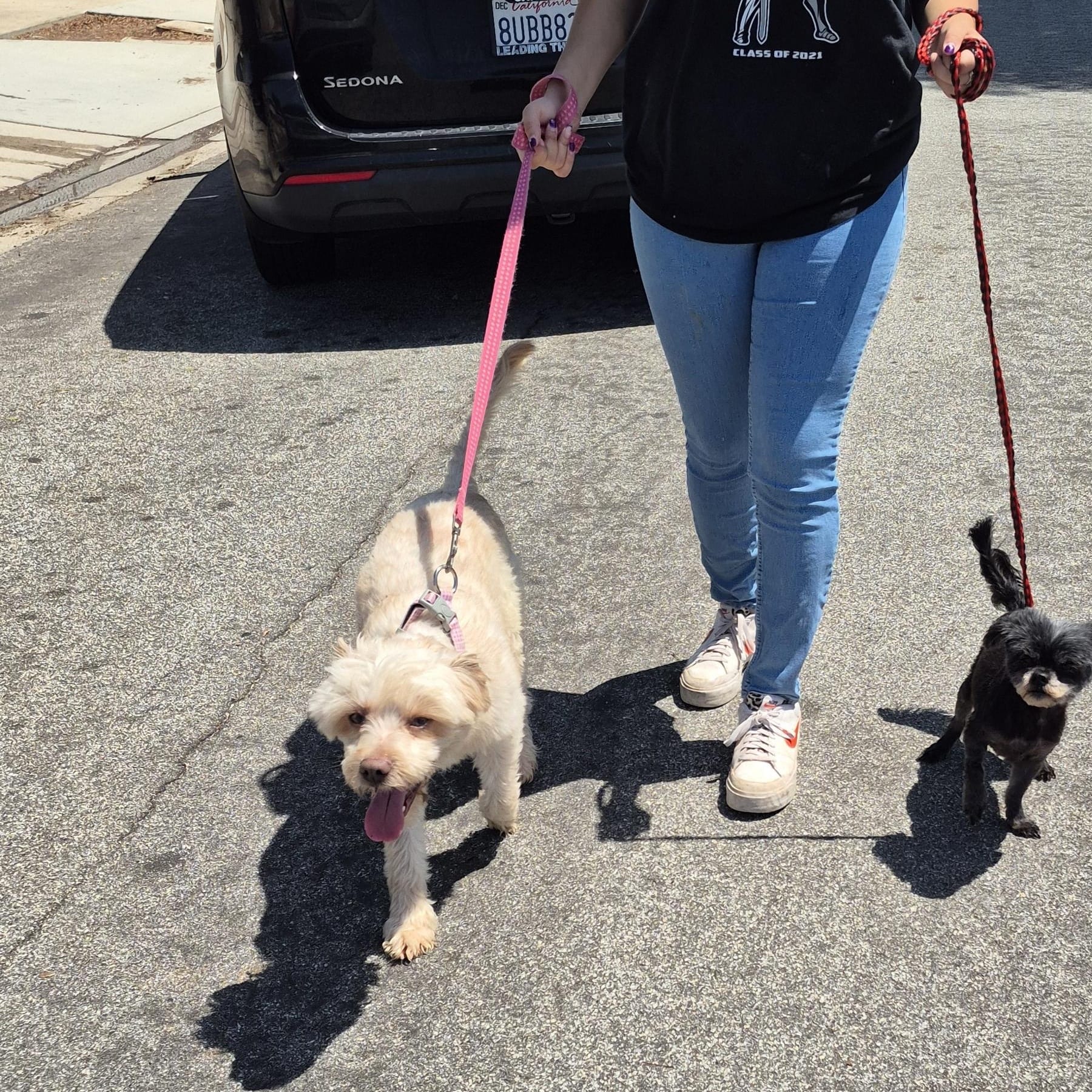 Indigo Girl with Timmy