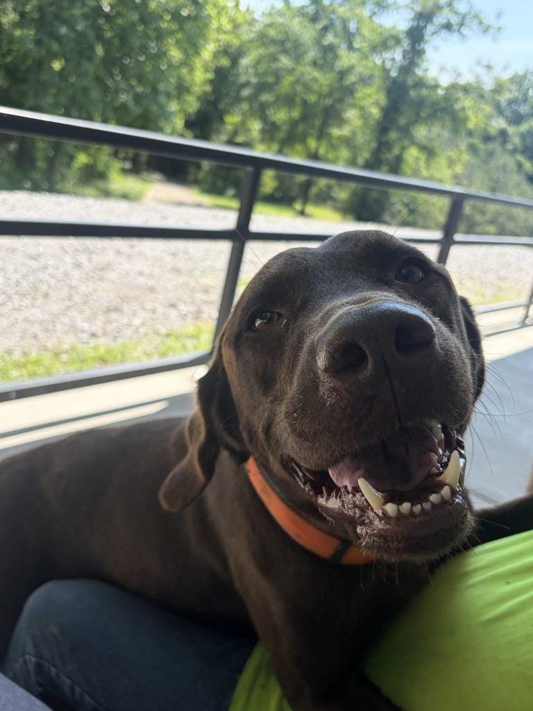 Oakley