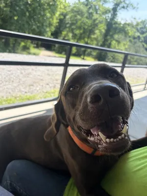 Oakley