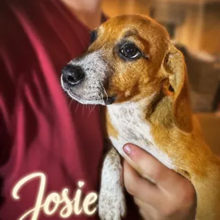 Josie
