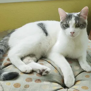 Cosmo - Bonded with Chunk!