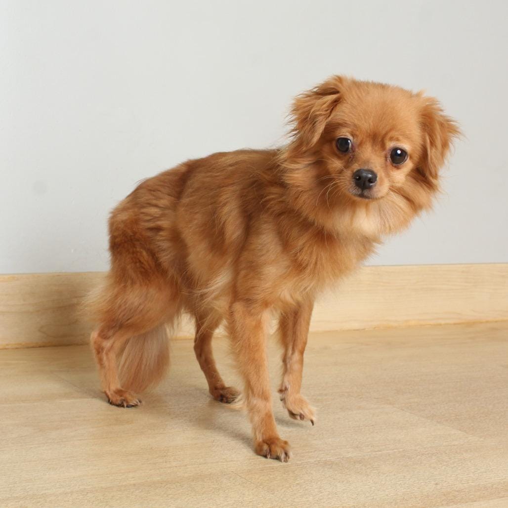 Mimi D69409