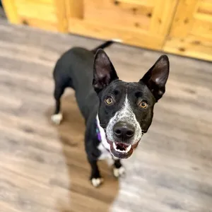Vivi Loo the happiest girl who loves you