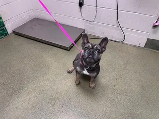 TANK