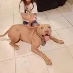bubs