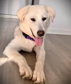 Fiona