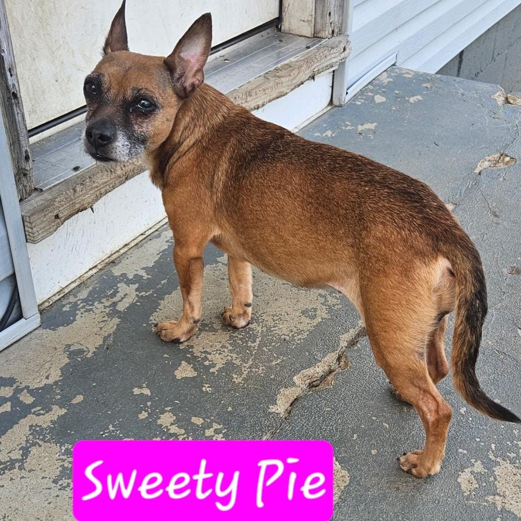 Sweetie Pie