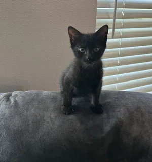Jack